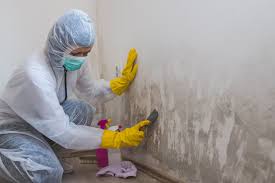 Asbestos and Lead Testing During Mold Inspection in Saddle Rock, NY